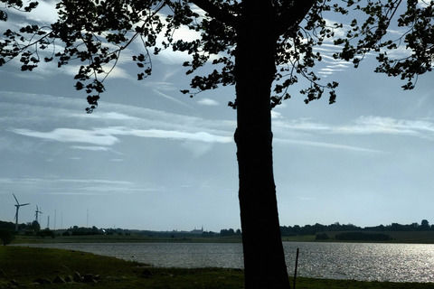 Mørkt træ med vand i baggrunden.